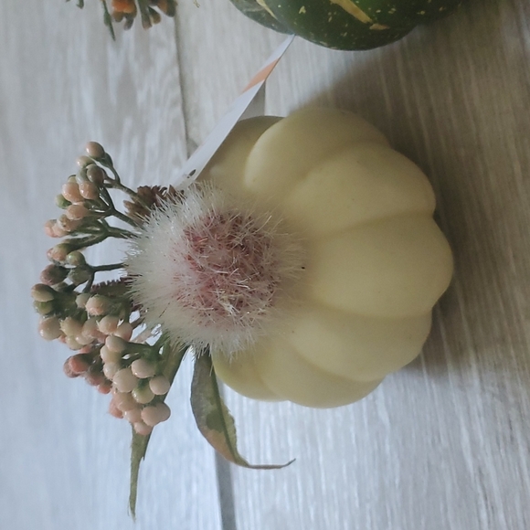 NWT 4 Ashland Mini tabletop Pumpkins - Picture 2 of 12